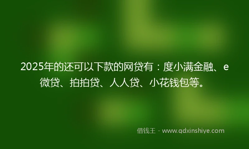 2025年的还可以下款的网贷有：度小满金融、e微贷、拍拍贷、人人贷、小花钱包等。