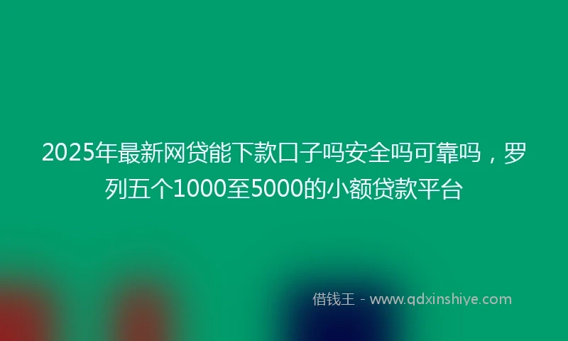 2025年最新网贷能下款口子吗安全吗可靠吗，罗列五个1000至5000的小额贷款平台