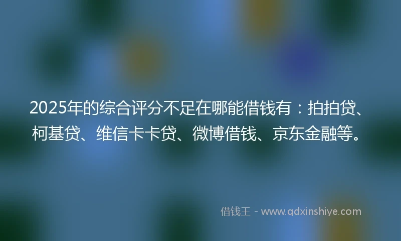 2025年的综合评分不足在哪能借钱有：拍拍贷、柯基贷、维信卡卡贷、微博借钱、京东金融等。