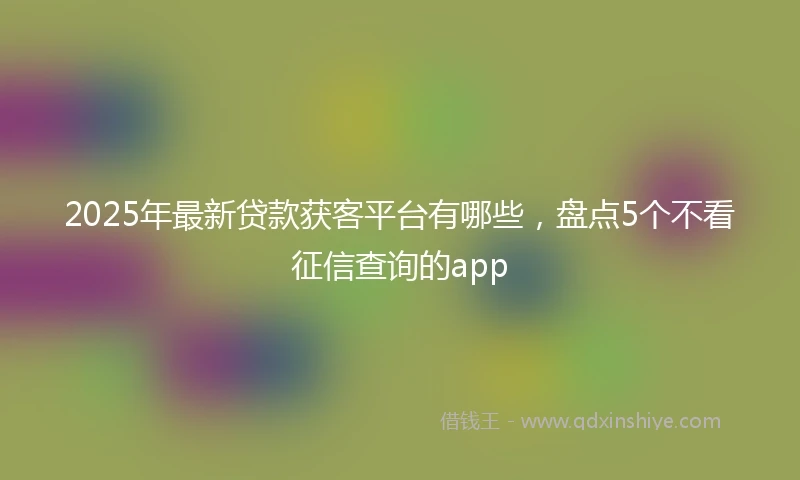 2025年最新贷款获客平台有哪些，盘点5个不看征信查询的app