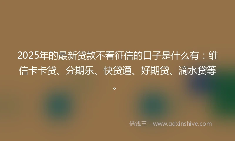 2025年的最新贷款不看征信的口子是什么有：维信卡卡贷、分期乐、快贷通、好期贷、滴水贷等。