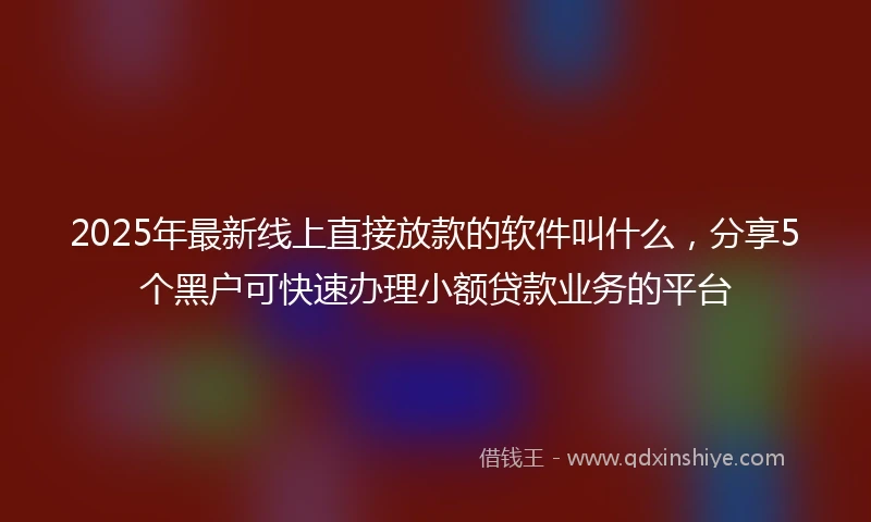 2025年最新线上直接放款的软件叫什么，分享5个黑户可快速办理小额贷款业务的平台