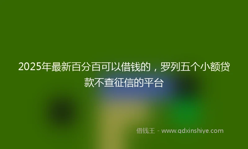 2025年最新百分百可以借钱的，罗列五个小额贷款不查征信的平台