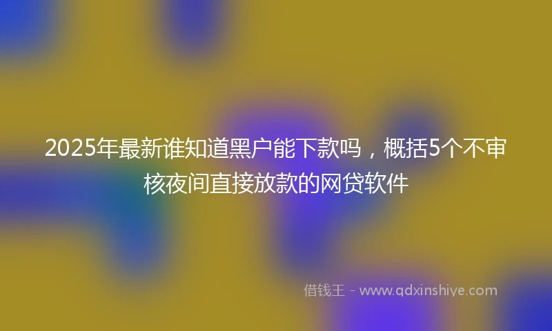 2025年最新谁知道黑户能下款吗，概括5个不审核夜间直接放款的网贷软件