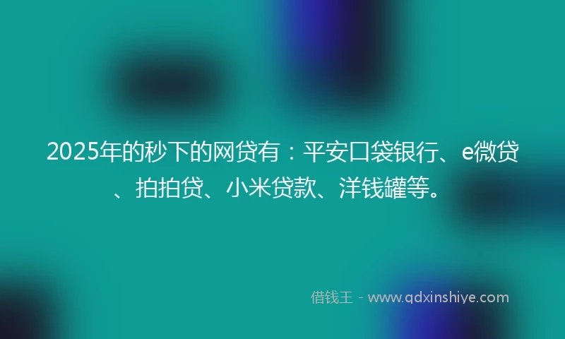 2025年的秒下的网贷有：平安口袋银行、e微贷、拍拍贷、小米贷款、洋钱罐等。
