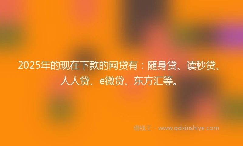 2025年的现在下款的网贷有：随身贷、读秒贷、人人贷、e微贷、东方汇等。