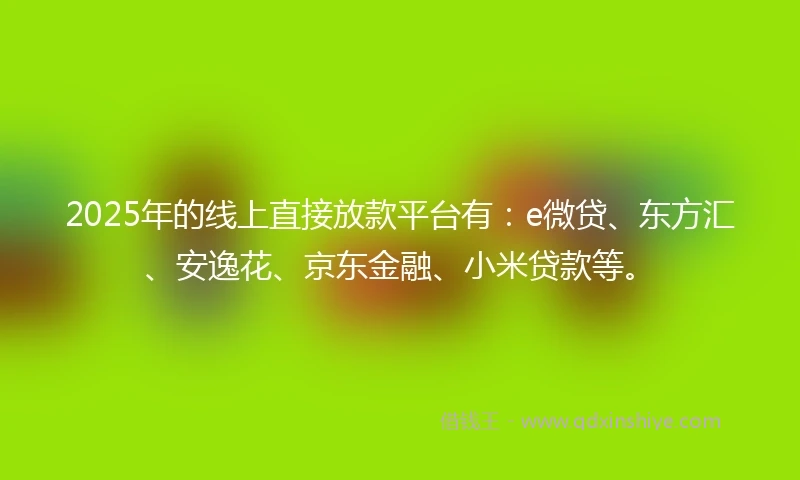 2025年的线上直接放款平台有：e微贷、东方汇、安逸花、京东金融、小米贷款等。