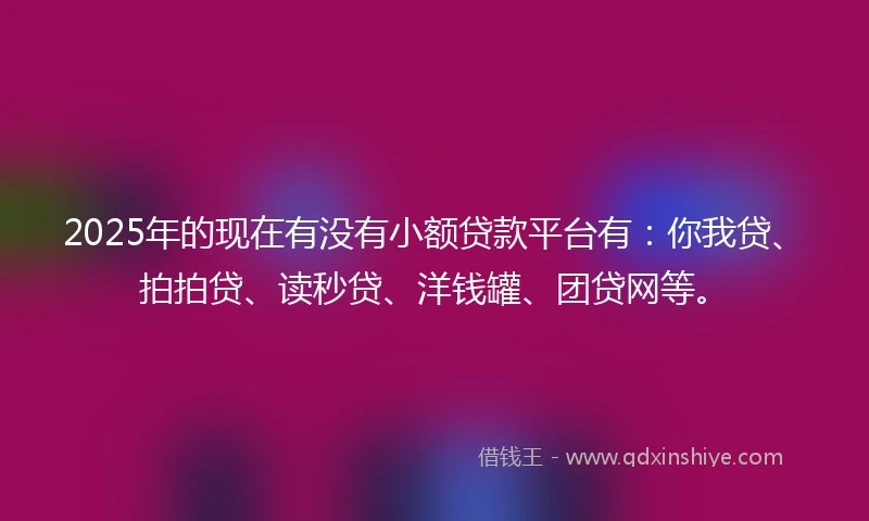 2025年的现在有没有小额贷款平台有：你我贷、拍拍贷、读秒贷、洋钱罐、团贷网等。