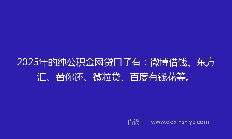 2025年的纯公积金网贷口子有：微博借钱、东方汇、替你还、微粒贷、百度有钱花等。