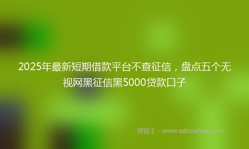 2025年最新短期借款平台不查征信，盘点五个无视网黑征信黑5000贷款口子