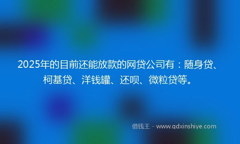 2025年的目前还能放款的网贷公司有：随身贷、柯基贷、洋钱罐、还呗、微粒贷等。