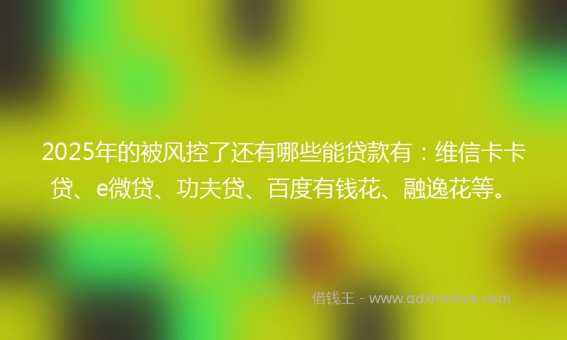 2025年的被风控了还有哪些能贷款有：维信卡卡贷、e微贷、功夫贷、百度有钱花、融逸花等。