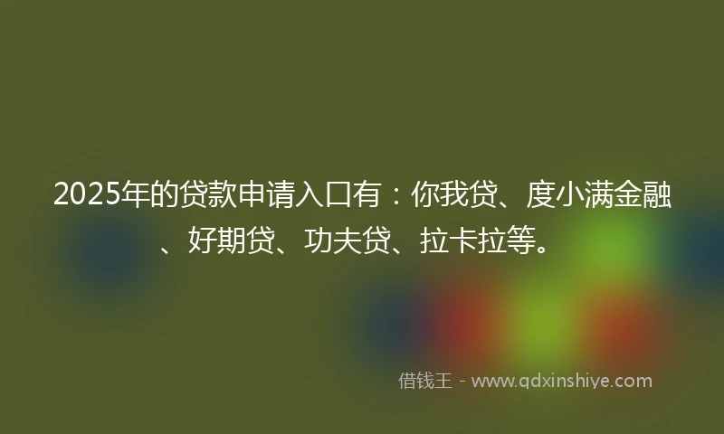 2025年的贷款申请入口有：你我贷、度小满金融、好期贷、功夫贷、拉卡拉等。