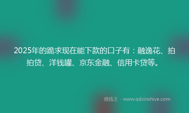 2025年的跪求现在能下款的口子有：融逸花、拍拍贷、洋钱罐、京东金融、信用卡贷等。