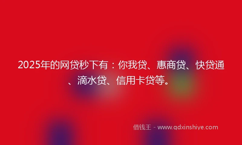 2025年的网贷秒下有：你我贷、惠商贷、快贷通、滴水贷、信用卡贷等。