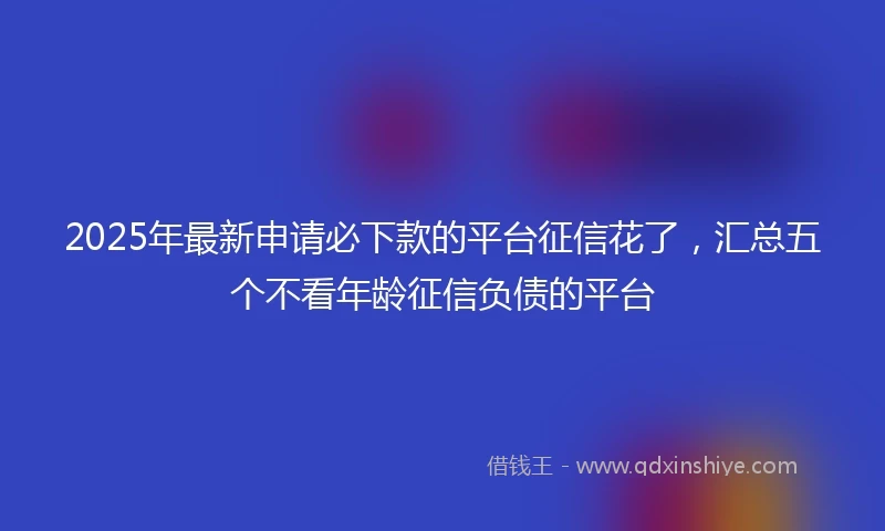 2025年最新申请必下款的平台征信花了，汇总五个不看年龄征信负债的平台