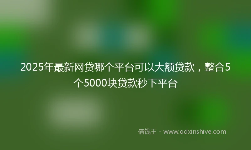 2025年最新网贷哪个平台可以大额贷款，整合5个5000块贷款秒下平台