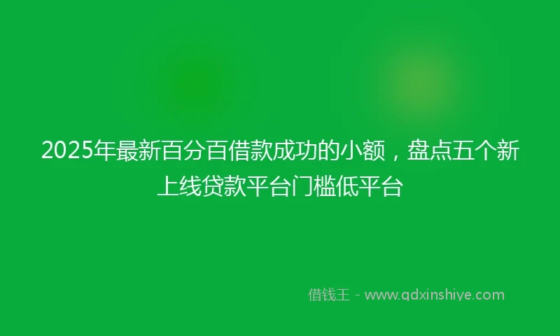 2025年最新百分百借款成功的小额，盘点五个新上线贷款平台门槛低平台