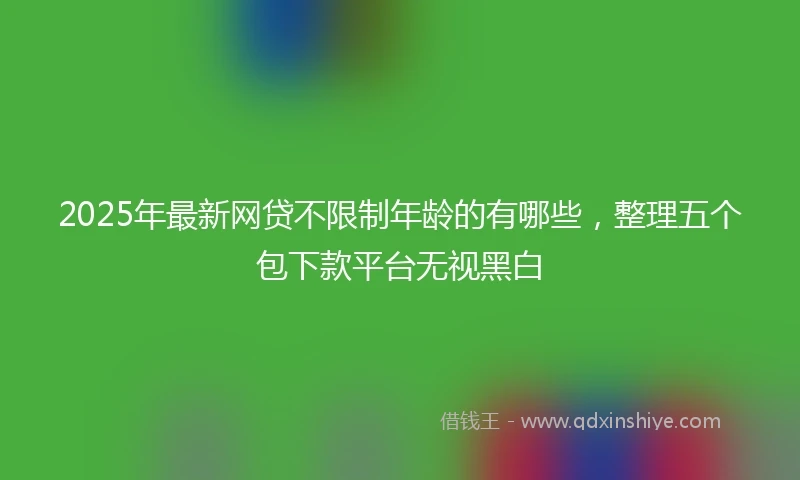 2025年最新网贷不限制年龄的有哪些，整理五个包下款平台无视黑白