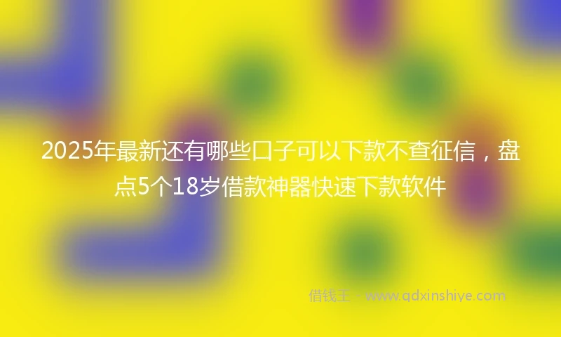 2025年最新还有哪些口子可以下款不查征信，盘点5个18岁借款神器快速下款软件
