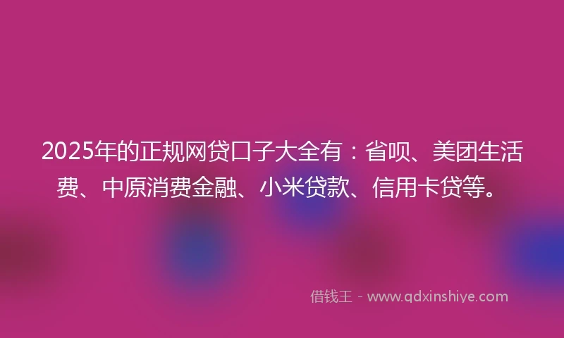 2025年的正规网贷口子大全有：省呗、美团生活费、中原消费金融、小米贷款、信用卡贷等。