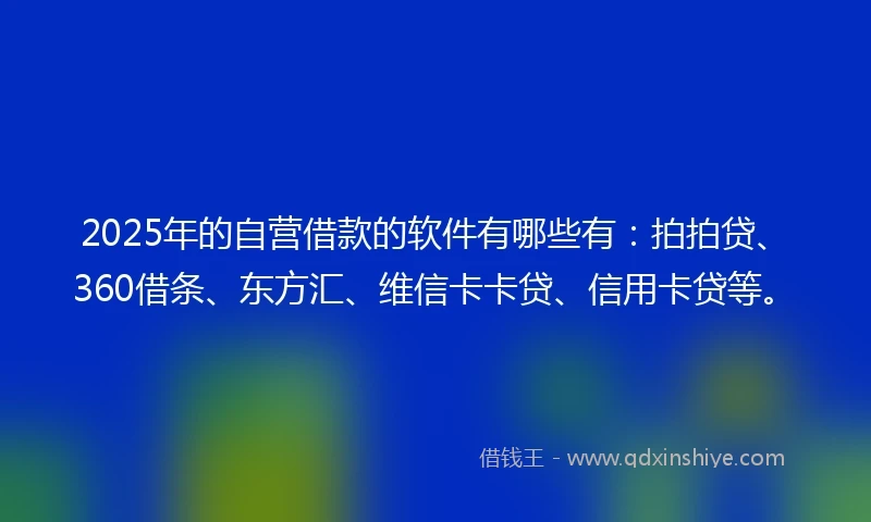 2025年的自营借款的软件有哪些有:拍拍贷、360借条、东方汇、维信卡卡贷、信用卡贷等。