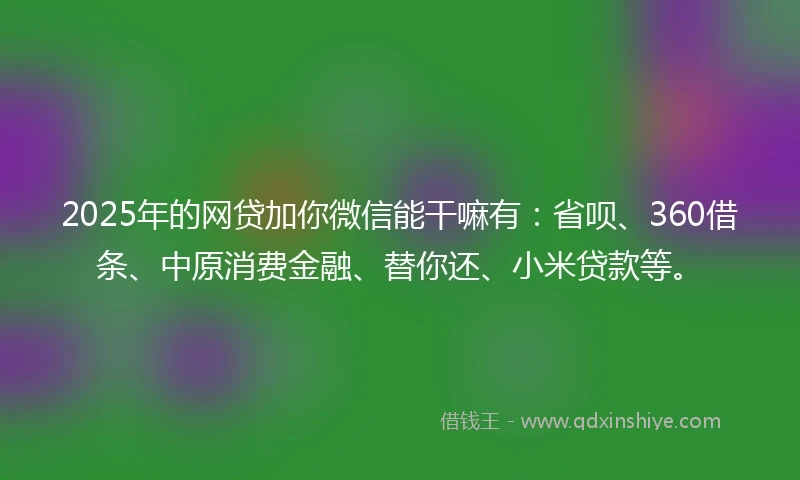 2025年的网贷加你微信能干嘛有:省呗、360借条、中原消费金融、替你还、小米贷款等。