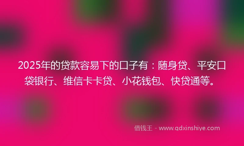 2025年的贷款容易下的口子有：随身贷、平安口袋银行、维信卡卡贷、小花钱包、快贷通等。