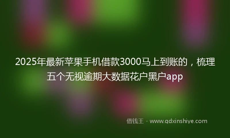 2025年最新苹果手机借款3000马上到账的,梳理五个无视逾期大数据花户黑户app
