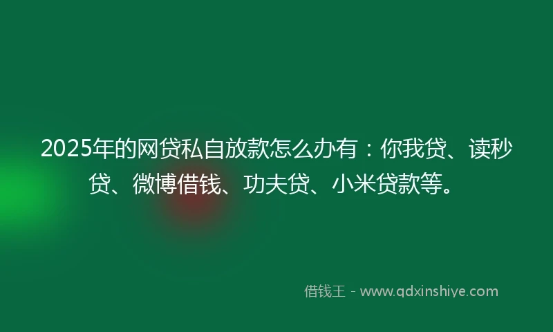 2025年的网贷私自放款怎么办有：你我贷、读秒贷、微博借钱、功夫贷、小米贷款等。