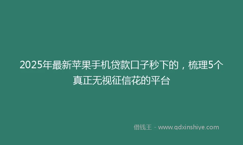 2025年最新苹果手机贷款口子秒下的，梳理5个真正无视征信花的平台