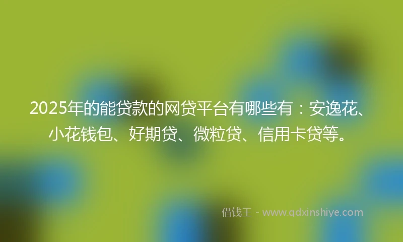 2025年的能贷款的网贷平台有哪些有：安逸花、小花钱包、好期贷、微粒贷、信用卡贷等。