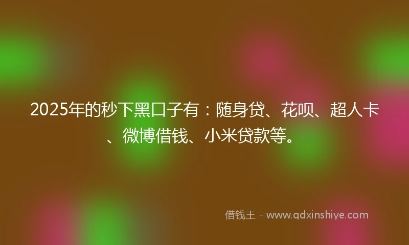 2025年的秒下黑口子有：随身贷、花呗、超人卡、微博借钱、小米贷款等。