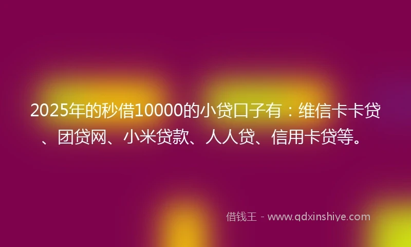 2025年的秒借10000的小贷口子有：维信卡卡贷、团贷网、小米贷款、人人贷、信用卡贷等。