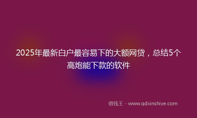 2025年最新白户最容易下的大额网贷，总结5个高炮能下款的软件