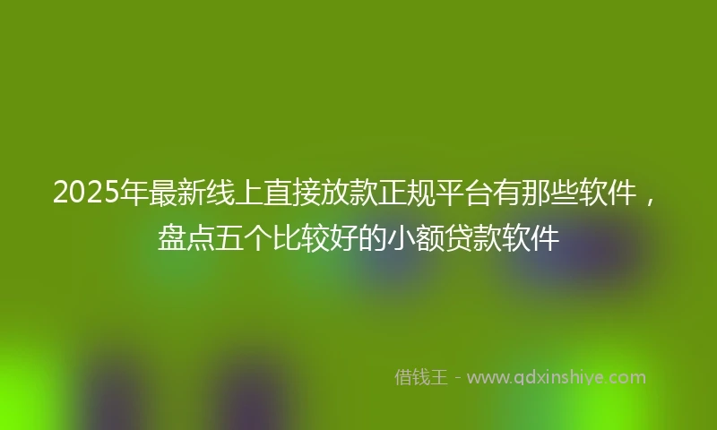 2025年最新线上直接放款正规平台有那些软件，盘点五个比较好的小额贷款软件