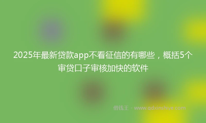 2025年最新贷款app不看征信的有哪些，概括5个审贷口子审核加快的软件