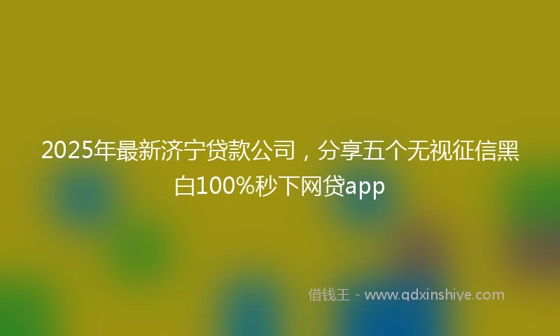 2025年最新济宁贷款公司，分享五个无视征信黑白100%秒下网贷app