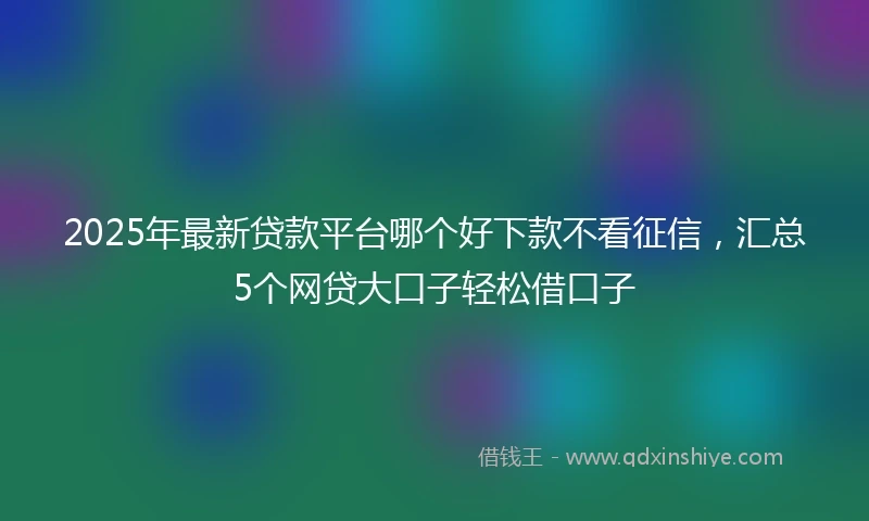 2025年最新贷款平台哪个好下款不看征信，汇总5个网贷大口子轻松借口子