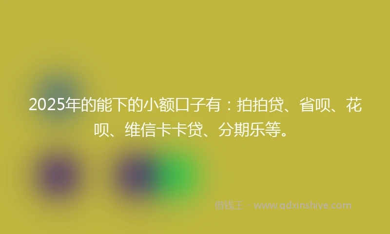 2025年的能下的小额口子有：拍拍贷、省呗、花呗、维信卡卡贷、分期乐等。