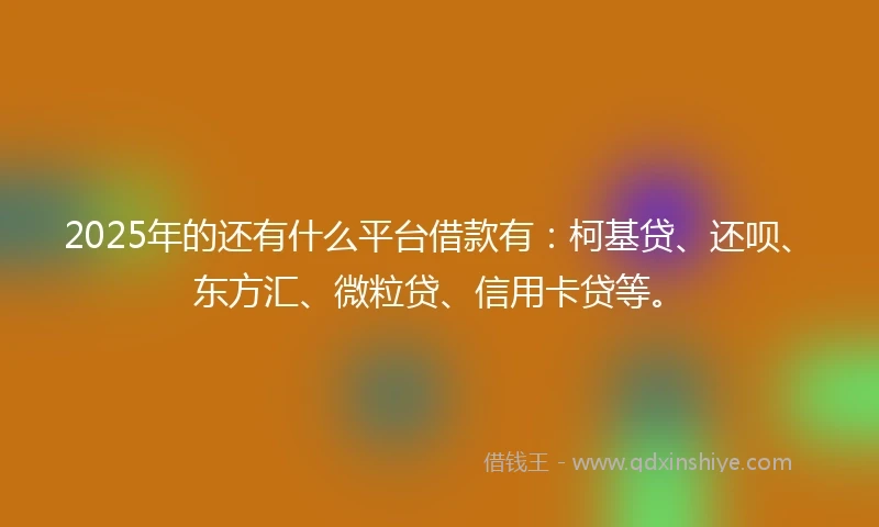 2025年的还有什么平台借款有：柯基贷、还呗、东方汇、微粒贷、信用卡贷等。