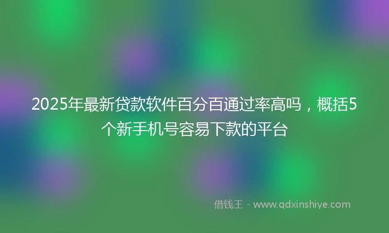 2025年最新贷款软件百分百通过率高吗，概括5个新手机号容易下款的平台