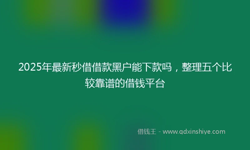 2025年最新秒借借款黑户能下款吗，整理五个比较靠谱的借钱平台