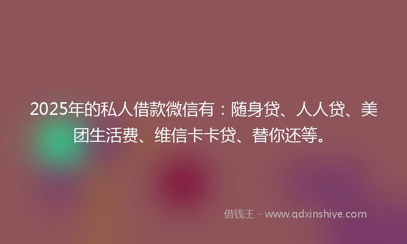 2025年的私人借款微信有：随身贷、人人贷、美团生活费、维信卡卡贷、替你还等。