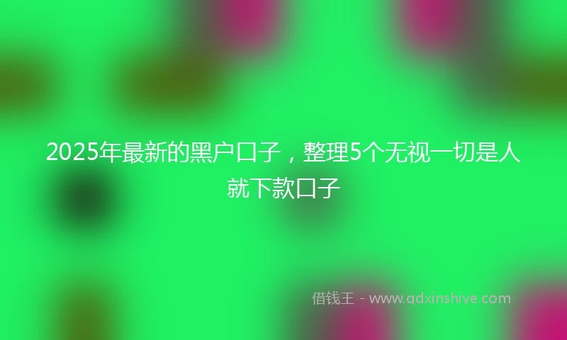 2025年最新的黑户口子，整理5个无视一切是人就下款口子