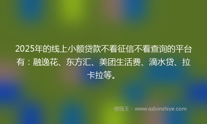 2025年的线上小额贷款不看征信不看查询的平台有：融逸花、东方汇、美团生活费、滴水贷、拉卡拉等。