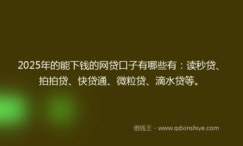 2025年的能下钱的网贷口子有哪些有：读秒贷、拍拍贷、快贷通、微粒贷、滴水贷等。