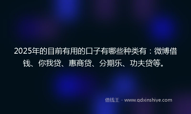 2025年的目前有用的口子有哪些种类有：微博借钱、你我贷、惠商贷、分期乐、功夫贷等。