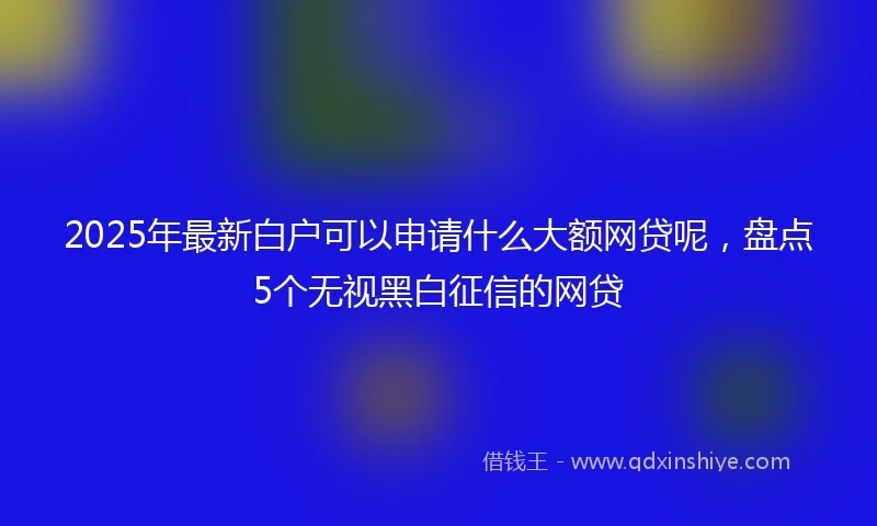 2025年最新白户可以申请什么大额网贷呢，盘点5个无视黑白征信的网贷