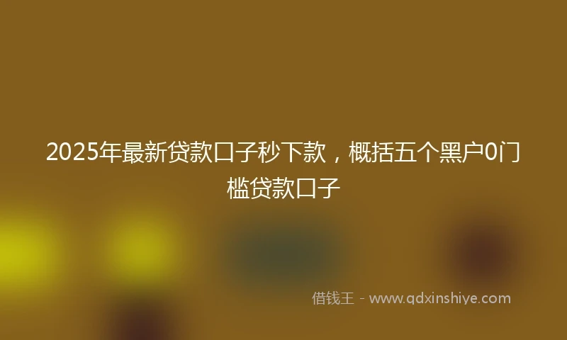 2025年最新贷款口子秒下款，概括五个黑户0门槛贷款口子